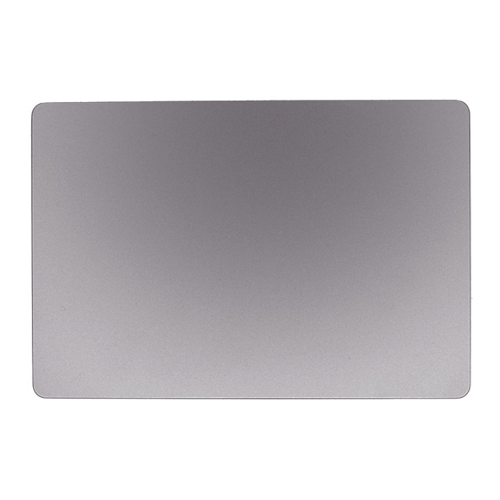 Genuine Trackpad w/ Flexures ( Touchpad ) , Space Gray A2289 2020